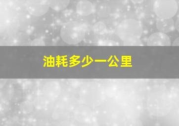 油耗多少一公里