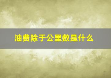 油费除于公里数是什么