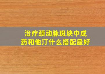 治疗颈动脉斑块中成药和他汀什么搭配最好