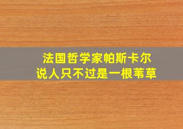 法国哲学家帕斯卡尔说人只不过是一根苇草