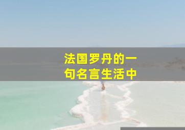 法国罗丹的一句名言生活中