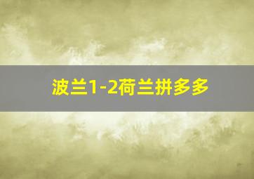 波兰1-2荷兰拼多多