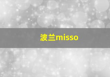 波兰misso