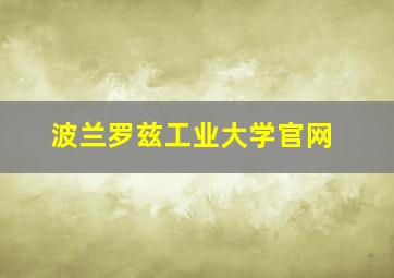 波兰罗兹工业大学官网