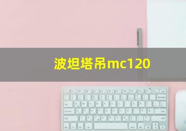 波坦塔吊mc120