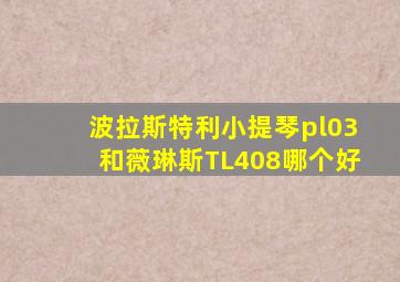 波拉斯特利小提琴pl03和薇琳斯TL408哪个好