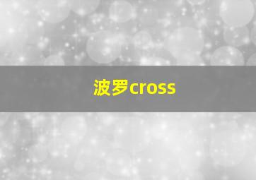 波罗cross