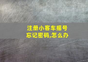 注册小客车摇号忘记密码,怎么办