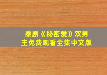 泰剧《秘密爱》双男主免费观看全集中文版