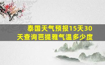 泰国天气预报15天30天查询芭提雅气温多少度