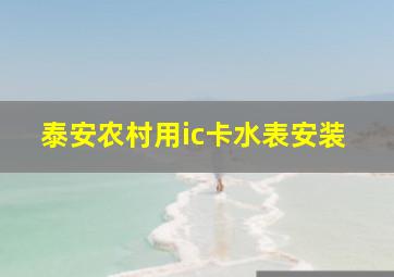 泰安农村用ic卡水表安装