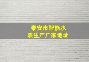 泰安市智能水表生产厂家地址