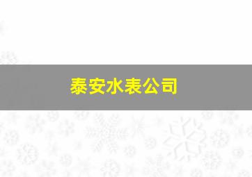 泰安水表公司