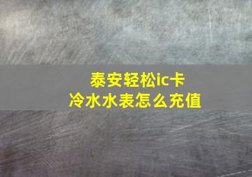 泰安轻松ic卡冷水水表怎么充值