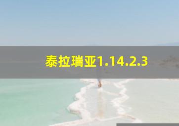 泰拉瑞亚1.14.2.3