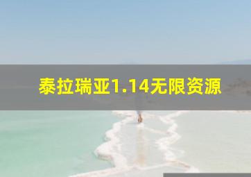 泰拉瑞亚1.14无限资源