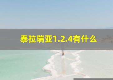 泰拉瑞亚1.2.4有什么