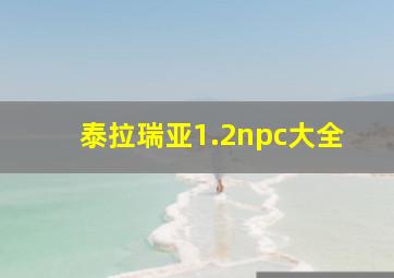 泰拉瑞亚1.2npc大全