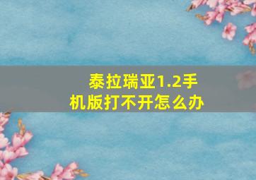 泰拉瑞亚1.2手机版打不开怎么办