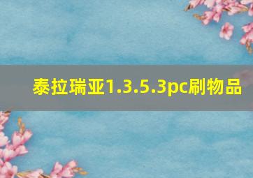 泰拉瑞亚1.3.5.3pc刷物品