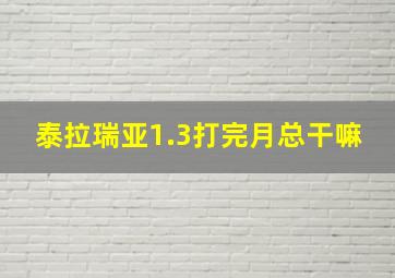 泰拉瑞亚1.3打完月总干嘛