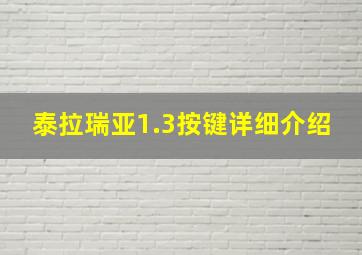 泰拉瑞亚1.3按键详细介绍