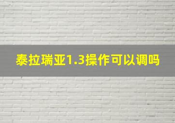 泰拉瑞亚1.3操作可以调吗