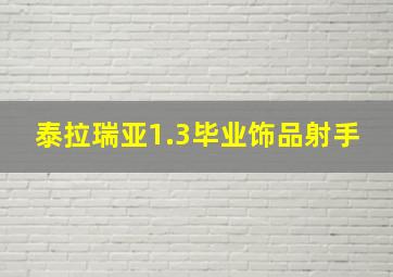 泰拉瑞亚1.3毕业饰品射手