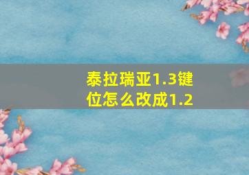 泰拉瑞亚1.3键位怎么改成1.2