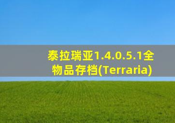 泰拉瑞亚1.4.0.5.1全物品存档(Terraria)