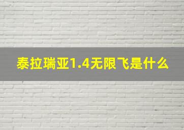 泰拉瑞亚1.4无限飞是什么