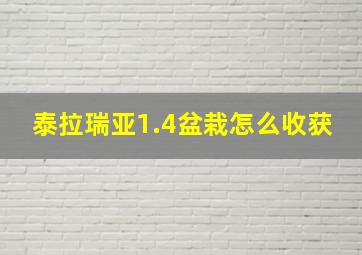 泰拉瑞亚1.4盆栽怎么收获