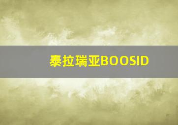 泰拉瑞亚BOOSID