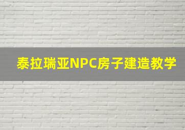 泰拉瑞亚NPC房子建造教学