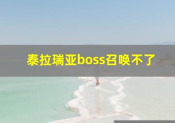 泰拉瑞亚boss召唤不了