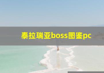 泰拉瑞亚boss图鉴pc