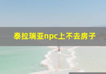 泰拉瑞亚npc上不去房子