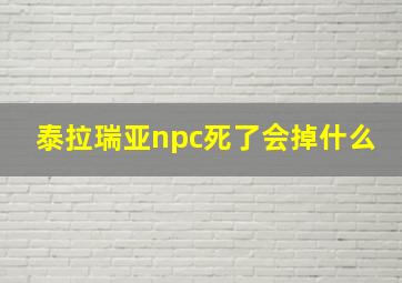 泰拉瑞亚npc死了会掉什么