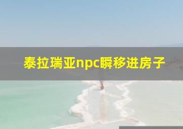 泰拉瑞亚npc瞬移进房子