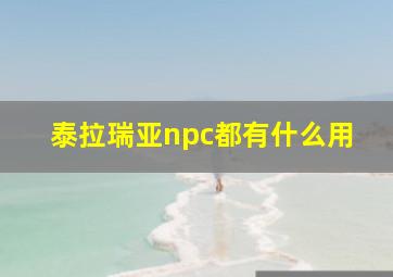 泰拉瑞亚npc都有什么用