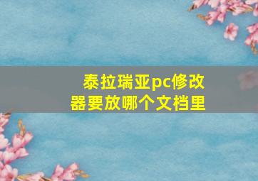 泰拉瑞亚pc修改器要放哪个文档里