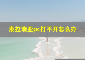 泰拉瑞亚pc打不开怎么办