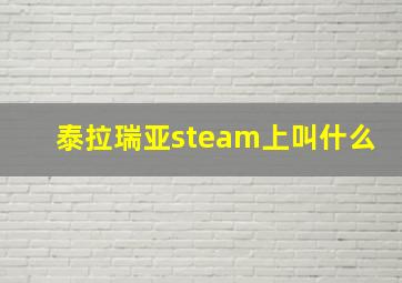 泰拉瑞亚steam上叫什么