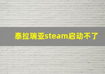 泰拉瑞亚steam启动不了