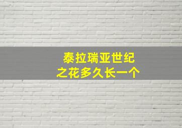 泰拉瑞亚世纪之花多久长一个