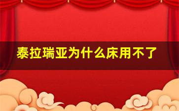 泰拉瑞亚为什么床用不了