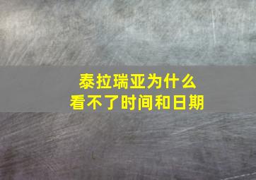 泰拉瑞亚为什么看不了时间和日期