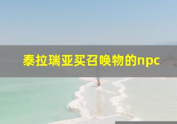 泰拉瑞亚买召唤物的npc