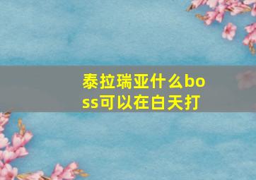 泰拉瑞亚什么boss可以在白天打