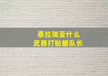 泰拉瑞亚什么武器打骷髅队长